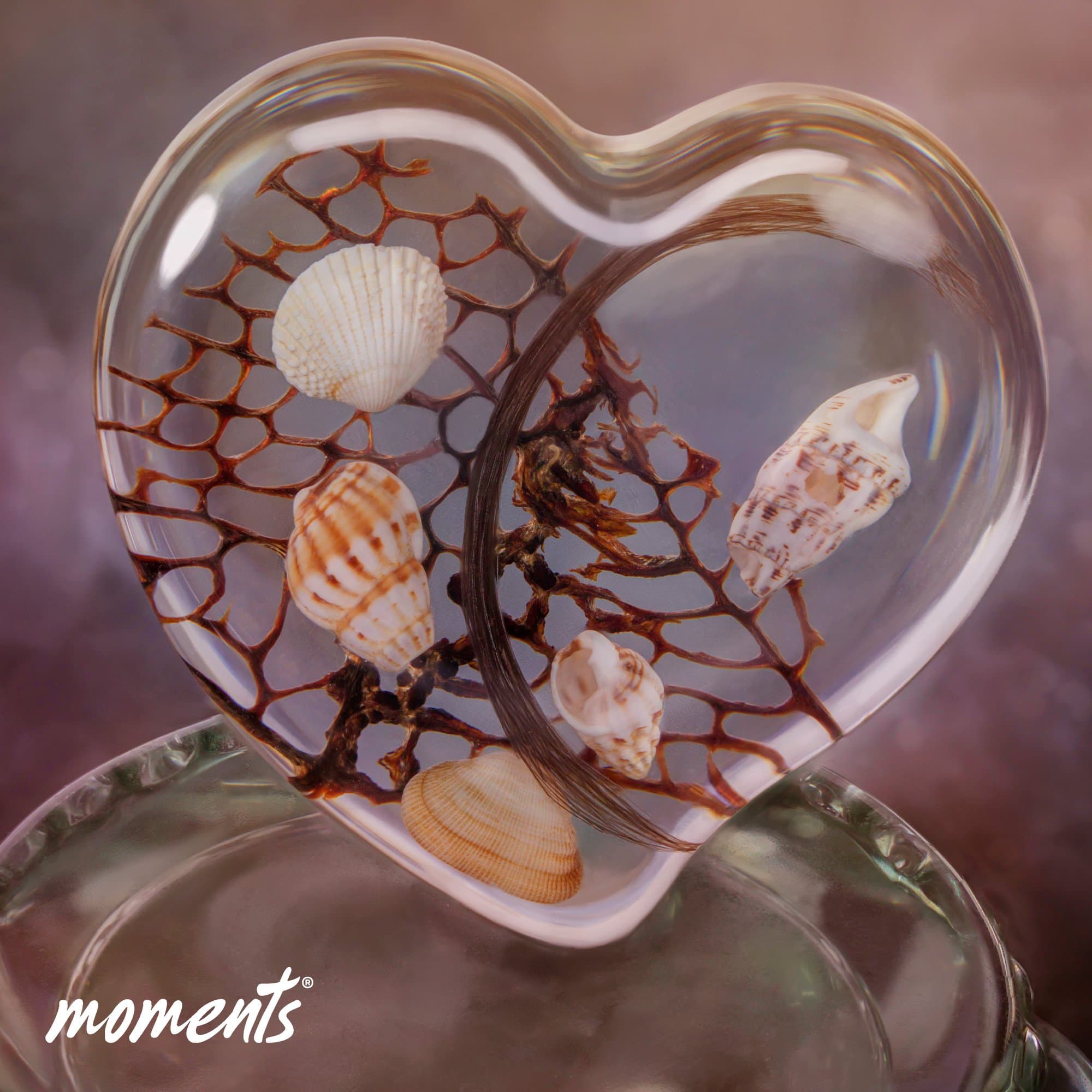 Klares herzförmiges Glas mit Muscheln und braunen Korallenzweigen.