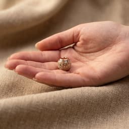 Pandora Charm mit Asche und Tiernamen