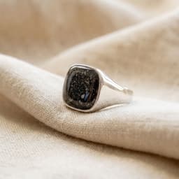 Signet Ring mit Asche